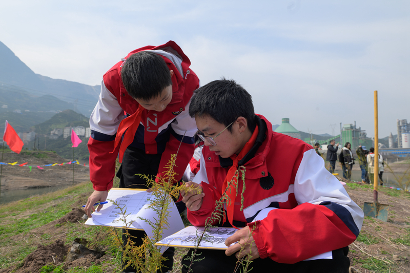 3000株珍稀濒危植物回归三峡库区