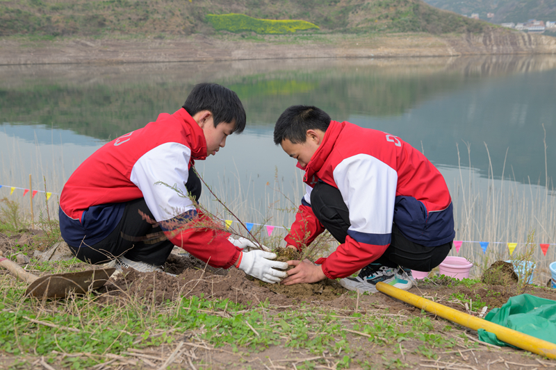 3000株珍稀濒危植物回归三峡库区