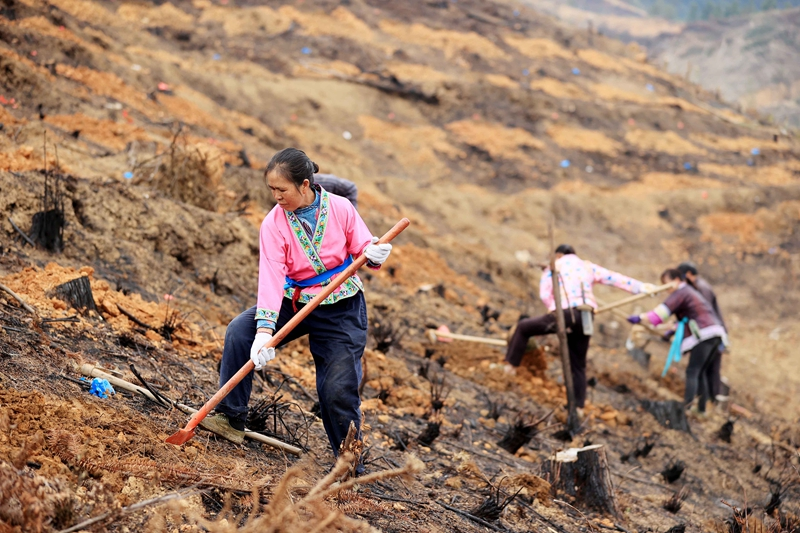 八桂大地春耕忙