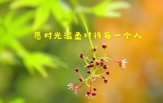 与其仰望别人，不如提升自己。只有依靠自己跨过泥泞，才能真正拥有战胜风浪的能力。愿你我都能不断精进自己，活成自己想要的样子。新的一天，早安！
