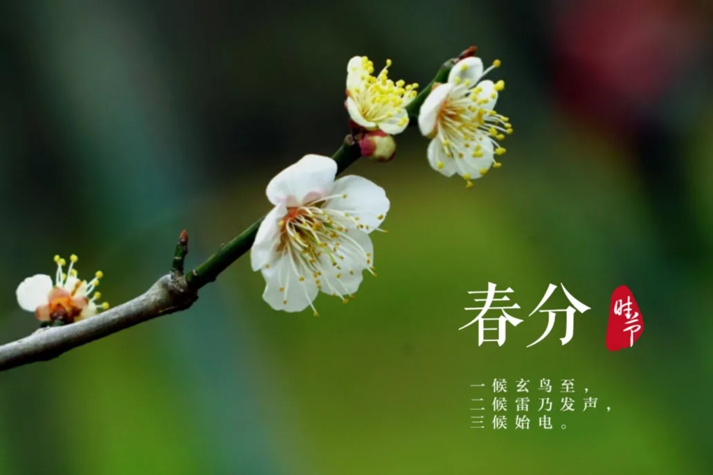 在想与做之间徘徊纠结，时间便在这一拖再拖中悄悄溜走。与其犹豫不决，不如立刻行动起来。当你开始把注意力放在每一个无可复制的当下，不断沉淀自己，生活自会绽放意想不到的光彩。新的一天，早安！