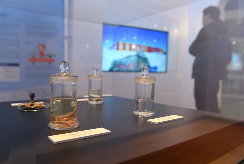 香港举办“雪龙2”号极地科考成果展
