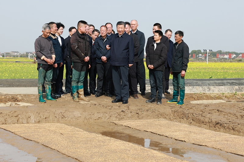 习近平在湖南考察时强调：坚持改革创新求真务实 奋力谱写中国式现代化湖南篇章