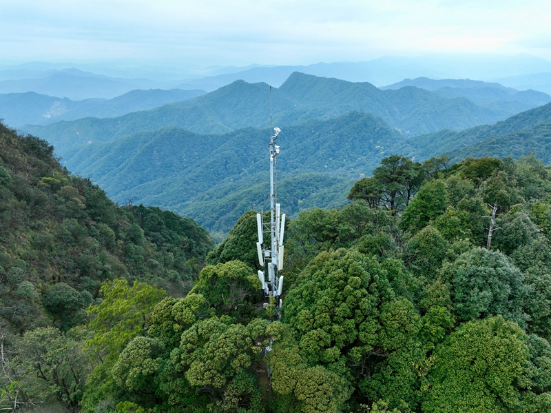 福建省加快构建野生动植物智慧保护体系