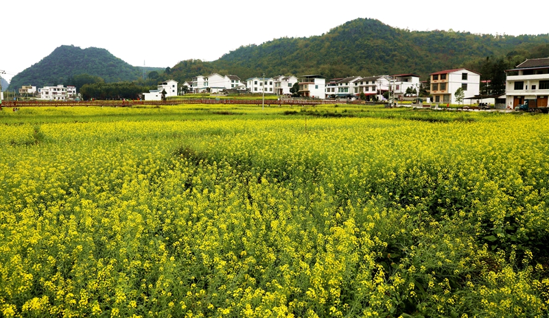 春回大地山河秀