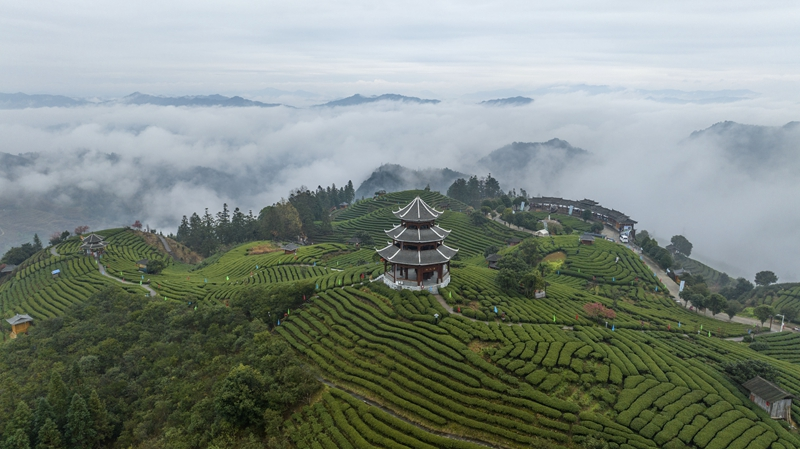 春回大地山河秀