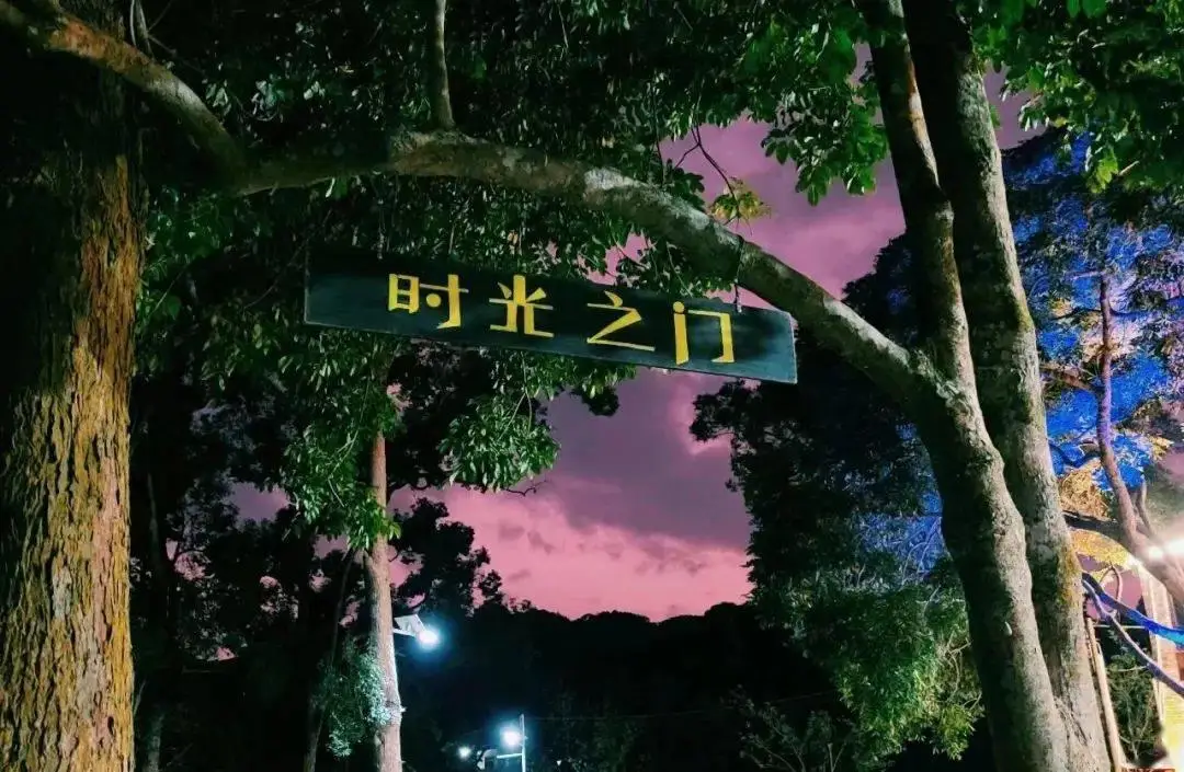 2024年进度条：■■■□□□□□□□□□