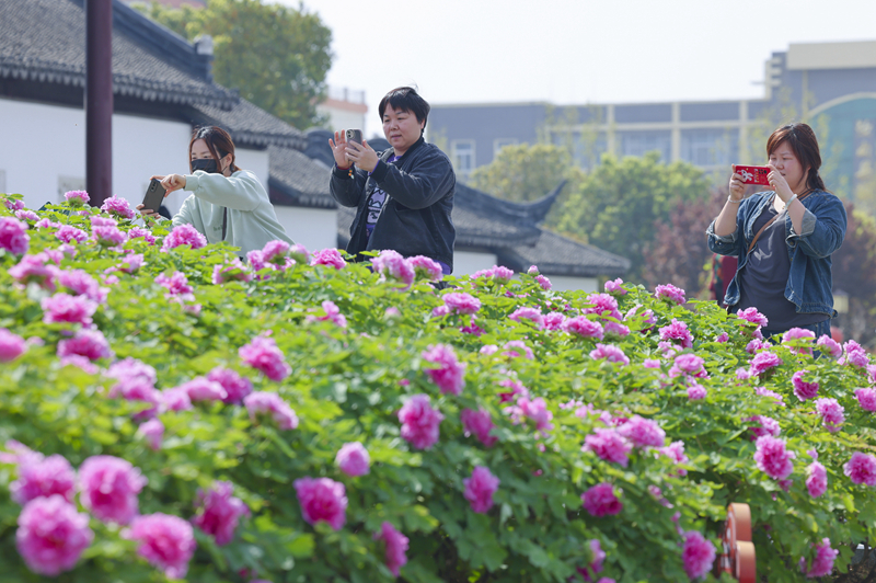 春色明媚芳菲月