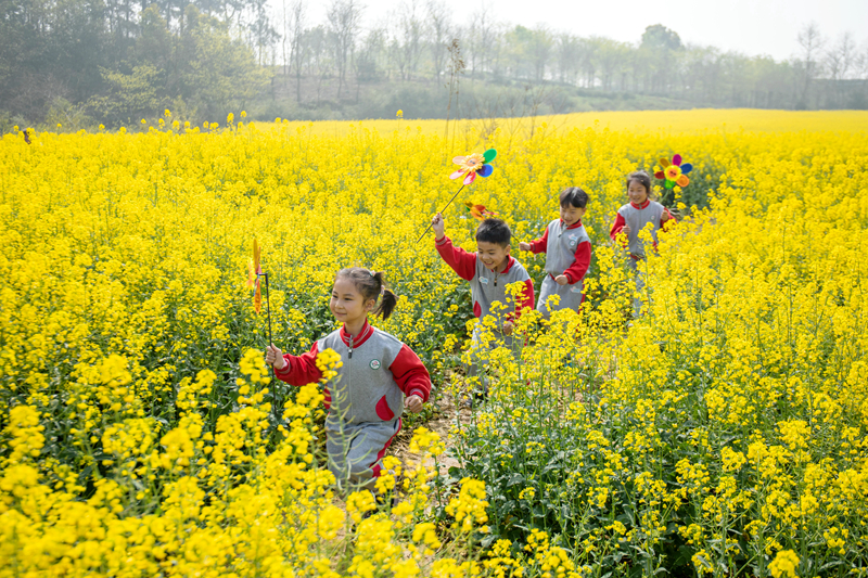 春色明媚芳菲月