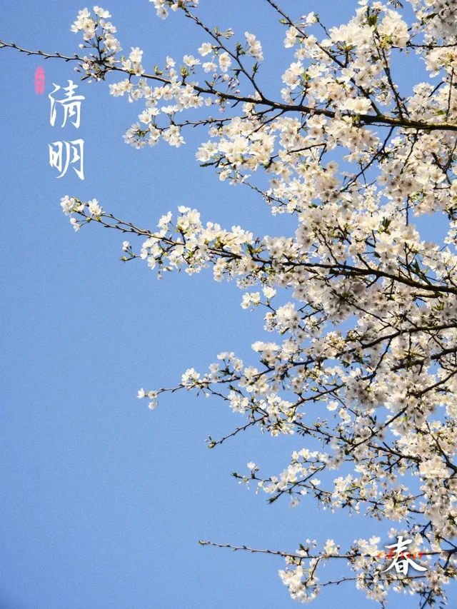 今日清明是二十四节气中的第五个节气
