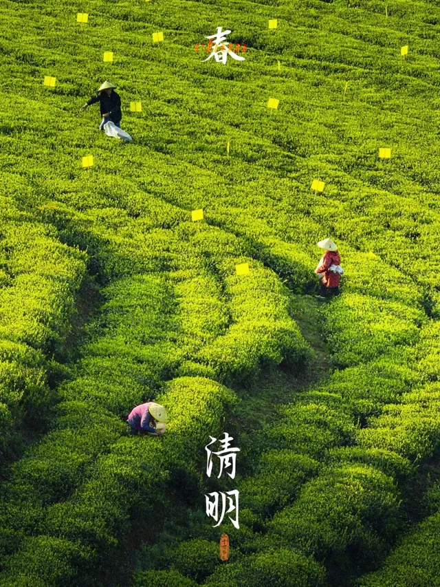 今日清明是二十四节气中的第五个节气