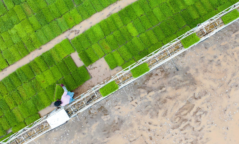 清明时节农事忙