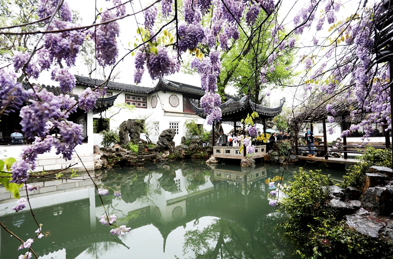 春意正浓 莫负春光