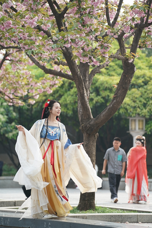 古城西安春意浓