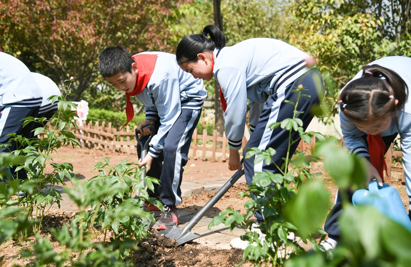 西安：中医药文化进校园