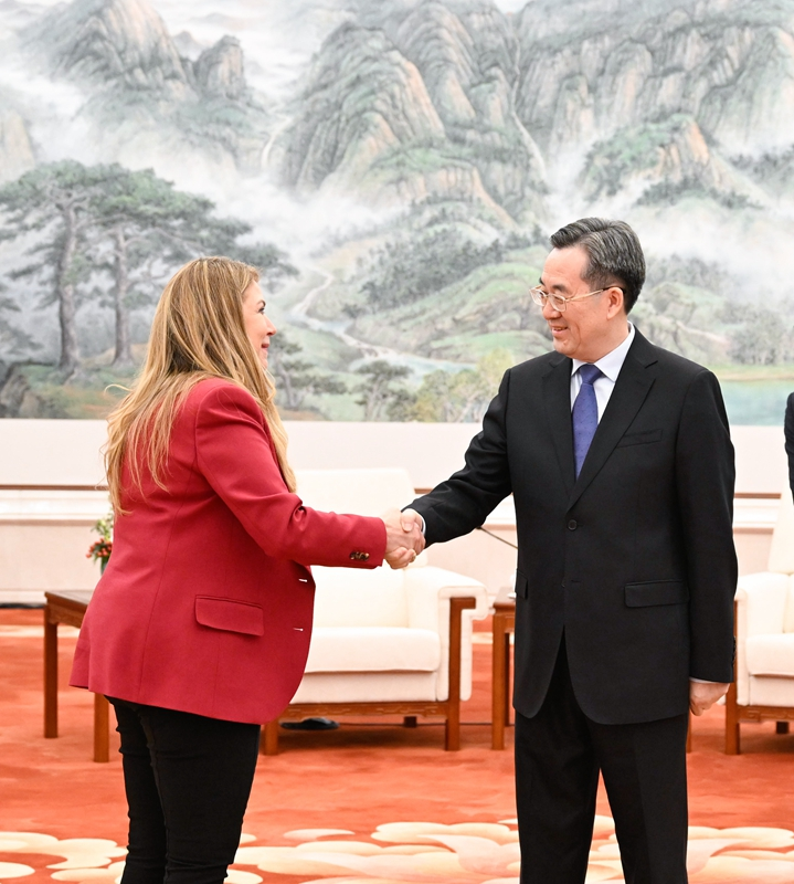 丁薛祥会见美国专利商标局局长凯蒂·维达尔