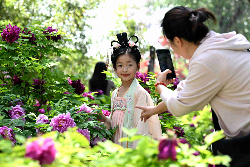 春花烂漫 尽享春光