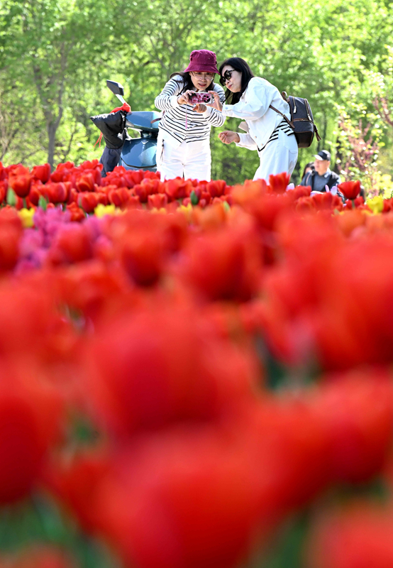 春花烂漫 尽享春光