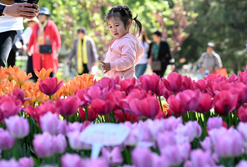 春花烂漫 尽享春光