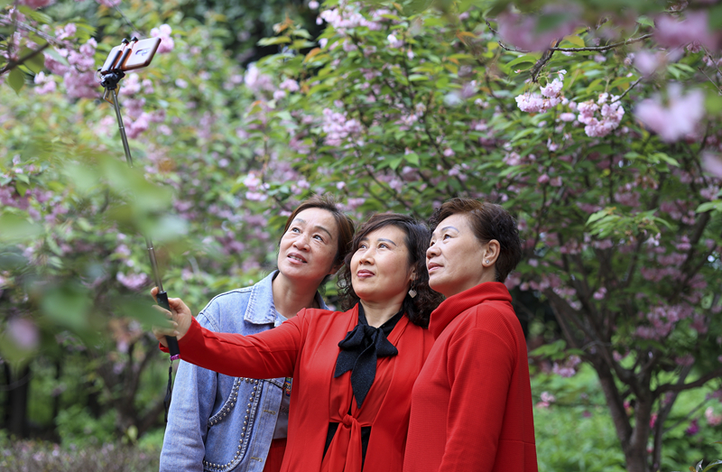 春花烂漫 尽享春光
