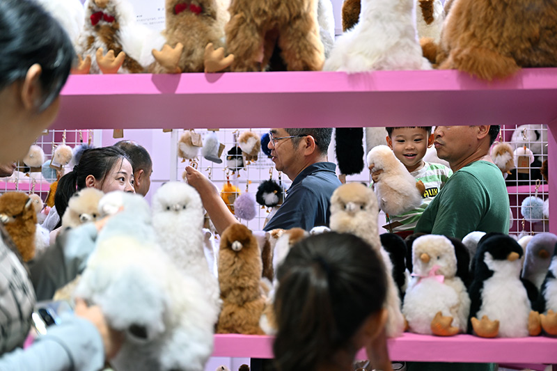 第四届中国国际消费品博览会结束