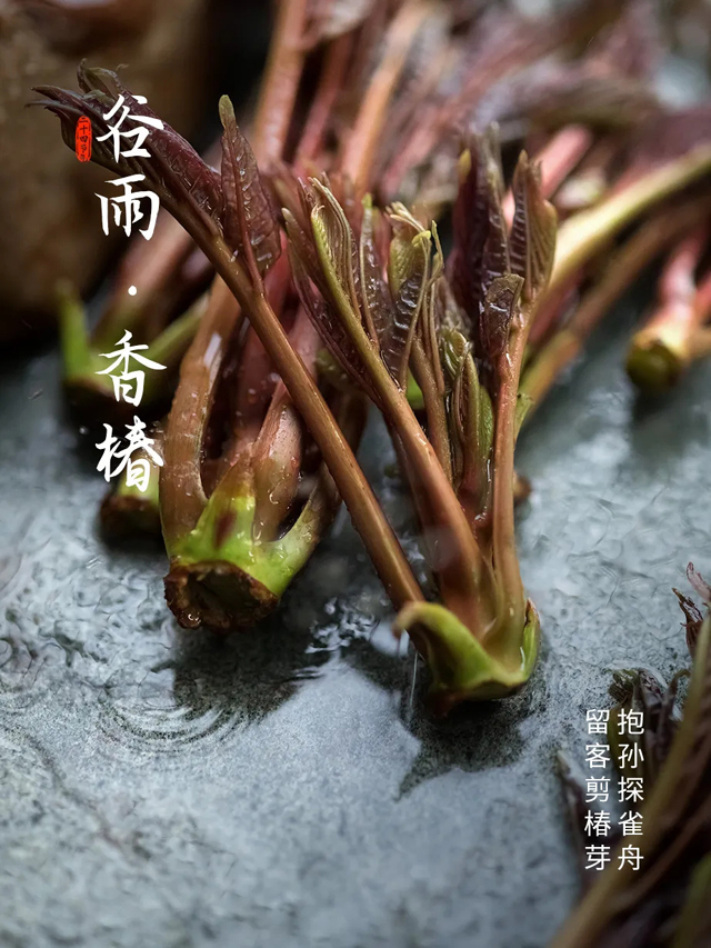 谷雨 | 这次，一定要抓住春天
