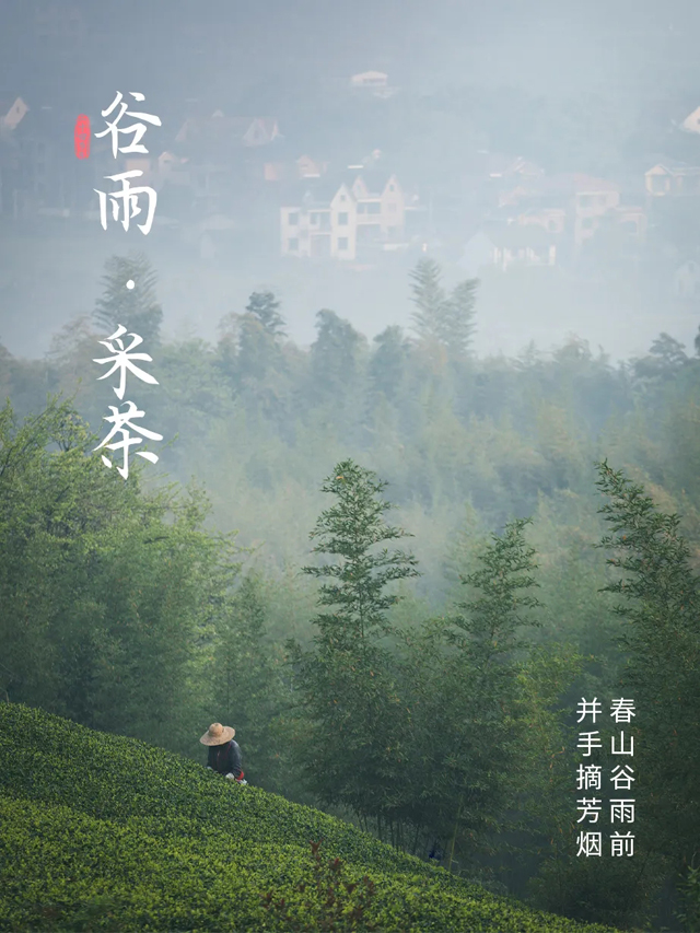 谷雨 | 这次，一定要抓住春天