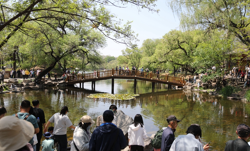 2024年“五一”假期国内旅游出游2.95亿人次
