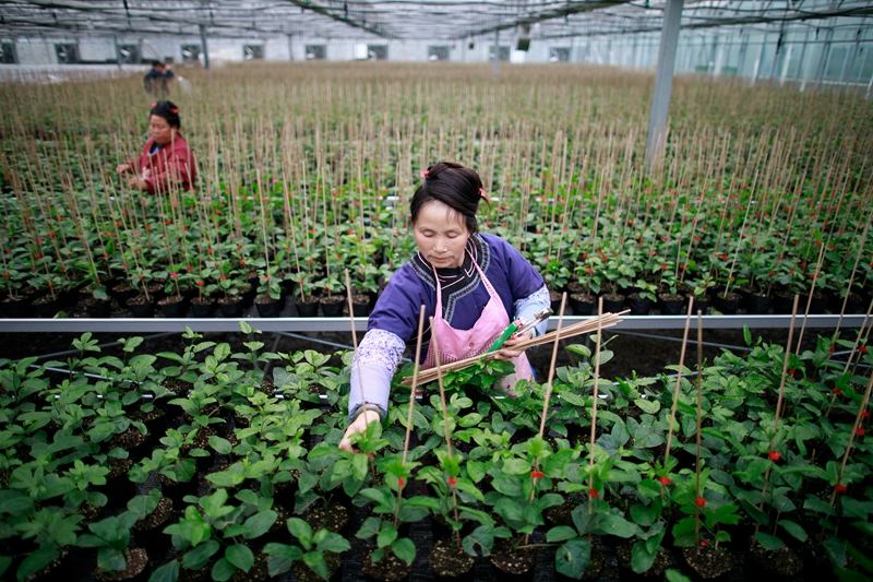 坚持铸牢中华民族共同体意识——落实新时代推动西部大开发座谈会精神系列综述之六