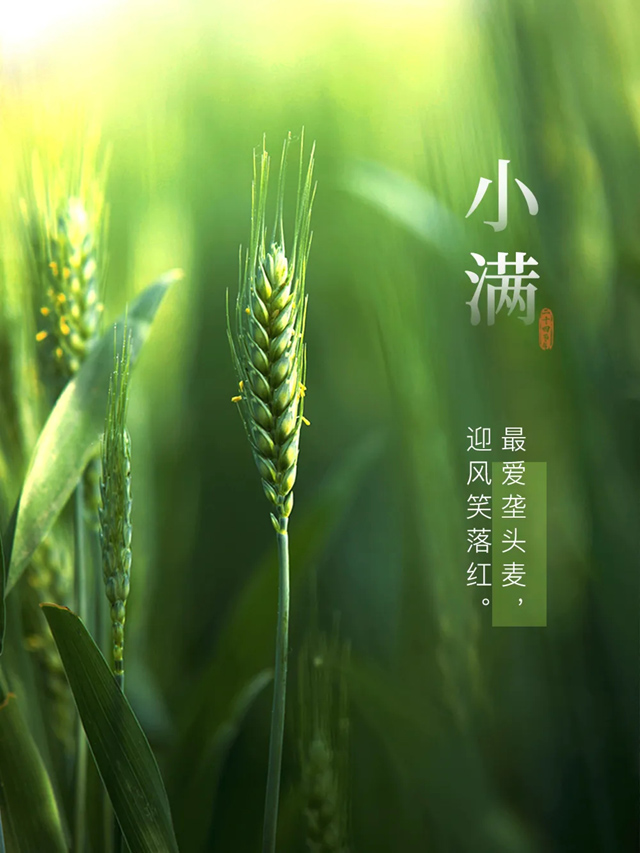 小满，未满之美