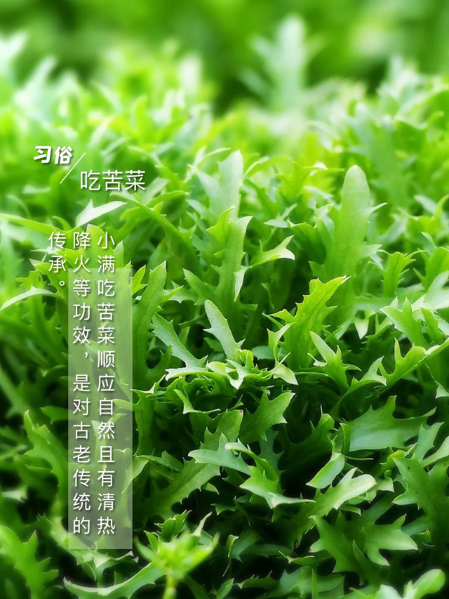 小满，未满之美
