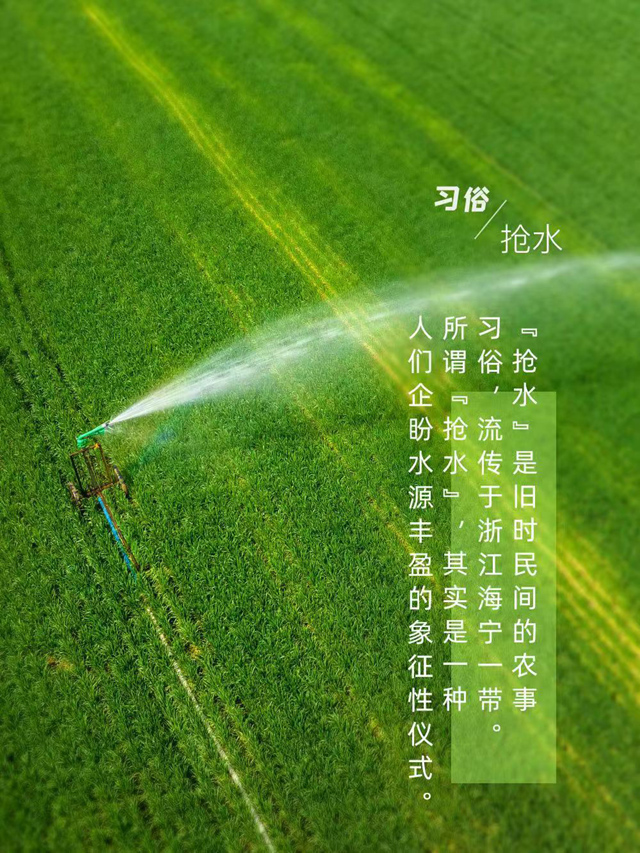 小满，未满之美