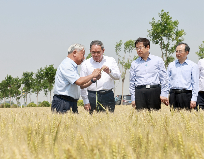 李强在河南调研时强调：扎实做好“三夏”工作确保夏粮丰收 推动农业创新发展夯实现代化产业体系根基
