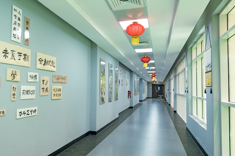 “把友谊的种子根植在心里”——习近平主席给阿联酋中小学生的复信架起友谊、理解与合作的桥梁