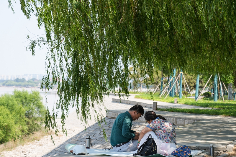 黄河山东段打造绿色生态长廊