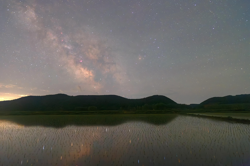 初夏“北大仓”舒展稻田星光画卷
