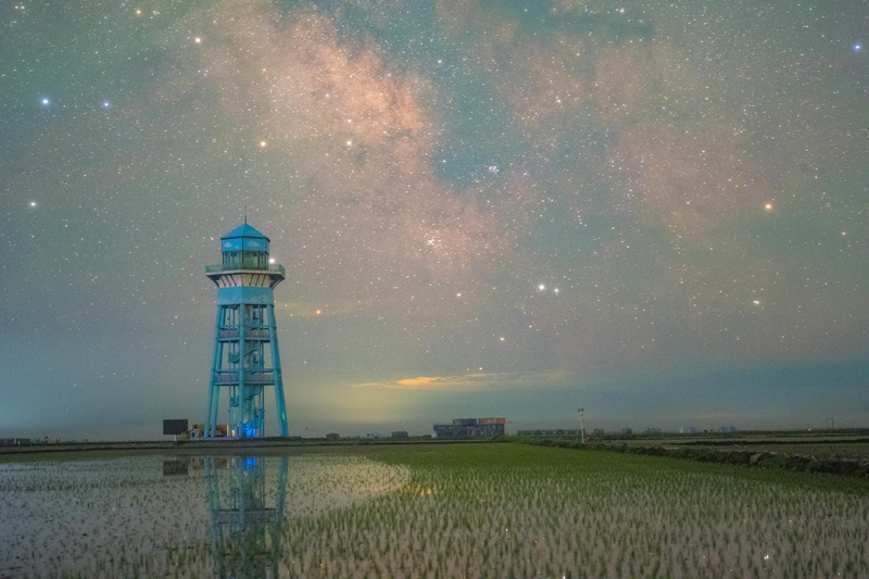 初夏“北大仓”舒展稻田星光画卷