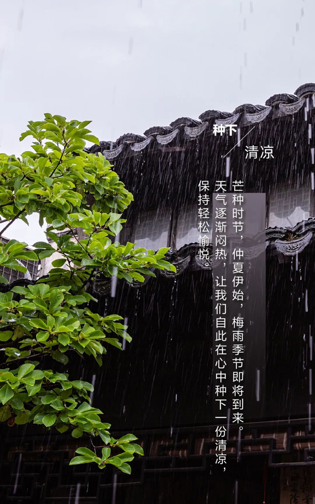 今日芒种，种下希望