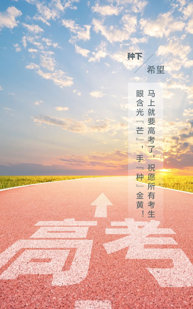 今日芒种，种下希望