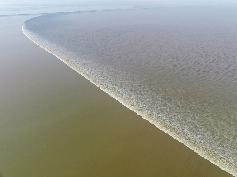 浙江杭州：钱塘江湿地风光美
