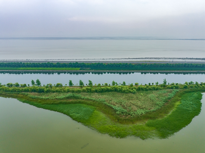 浙江杭州：钱塘江湿地风光美