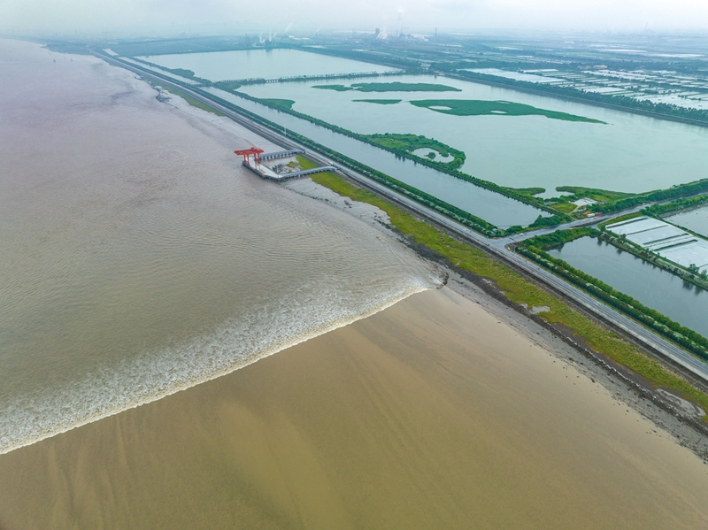 浙江杭州：钱塘江湿地风光美