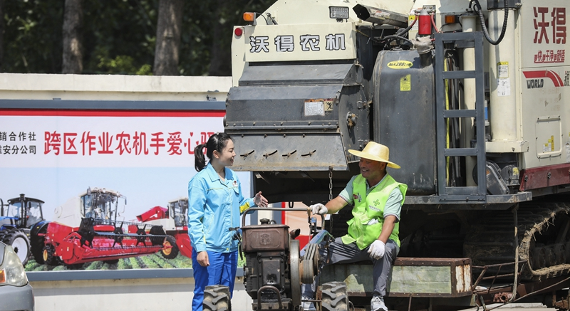 各地持续推进夏粮机收