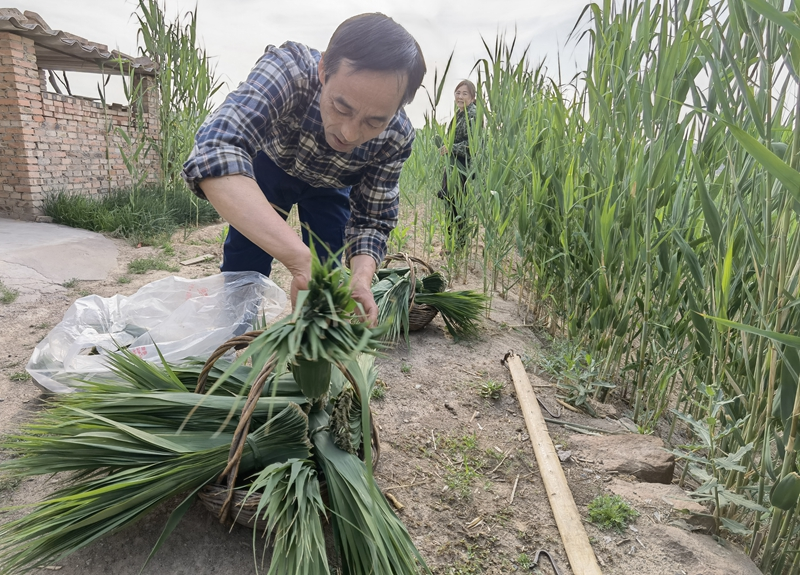 端牢“中国饭碗” 激发振兴活力——中部地区推进农业农村改革发展