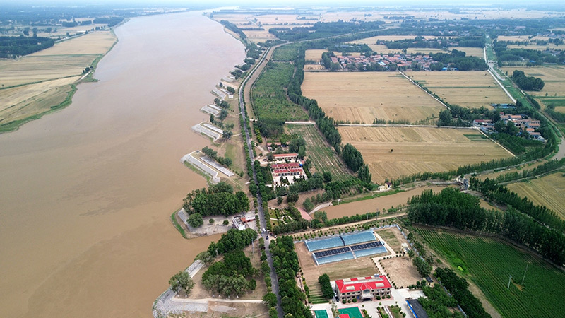 山东菏泽：加大引用黄河水量 积极抗旱保夏种