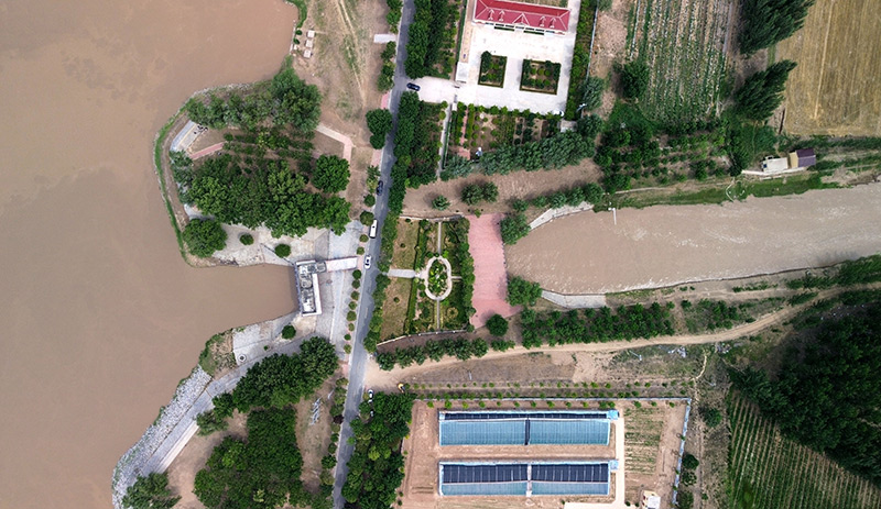 山东菏泽：加大引用黄河水量 积极抗旱保夏种