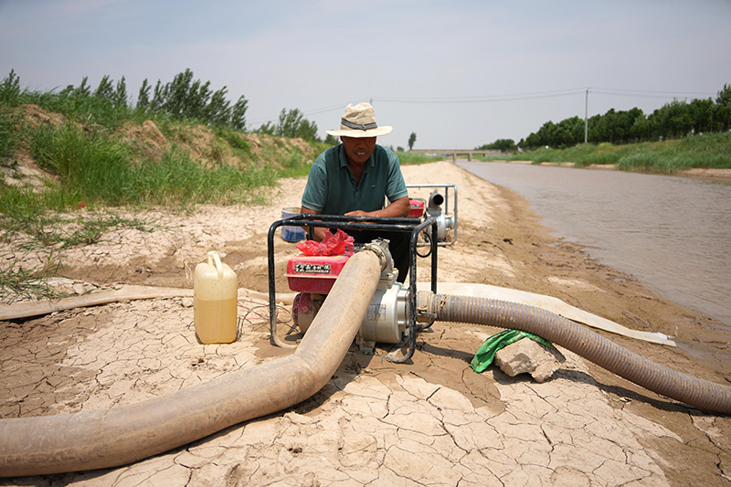 山东菏泽：加大引用黄河水量 积极抗旱保夏种