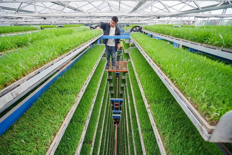 更好扛起粮食生产的重任——“天府粮仓”新实践扫描