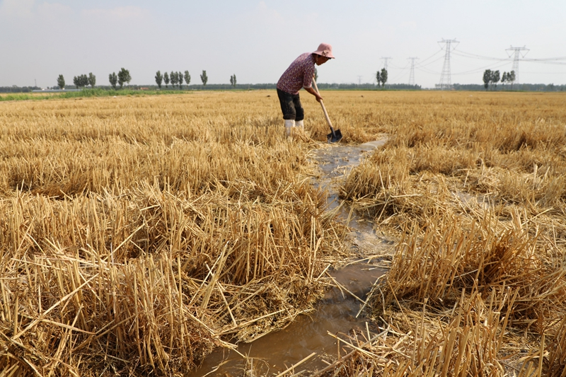 各地各部门坚决贯彻落实习近平总书记对防汛抗旱工作重要指示精神：保障正常生产生活秩序 最大限度降低灾害损失