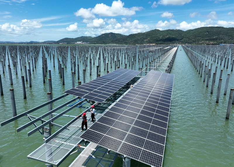 福建：海上光伏电站建设忙